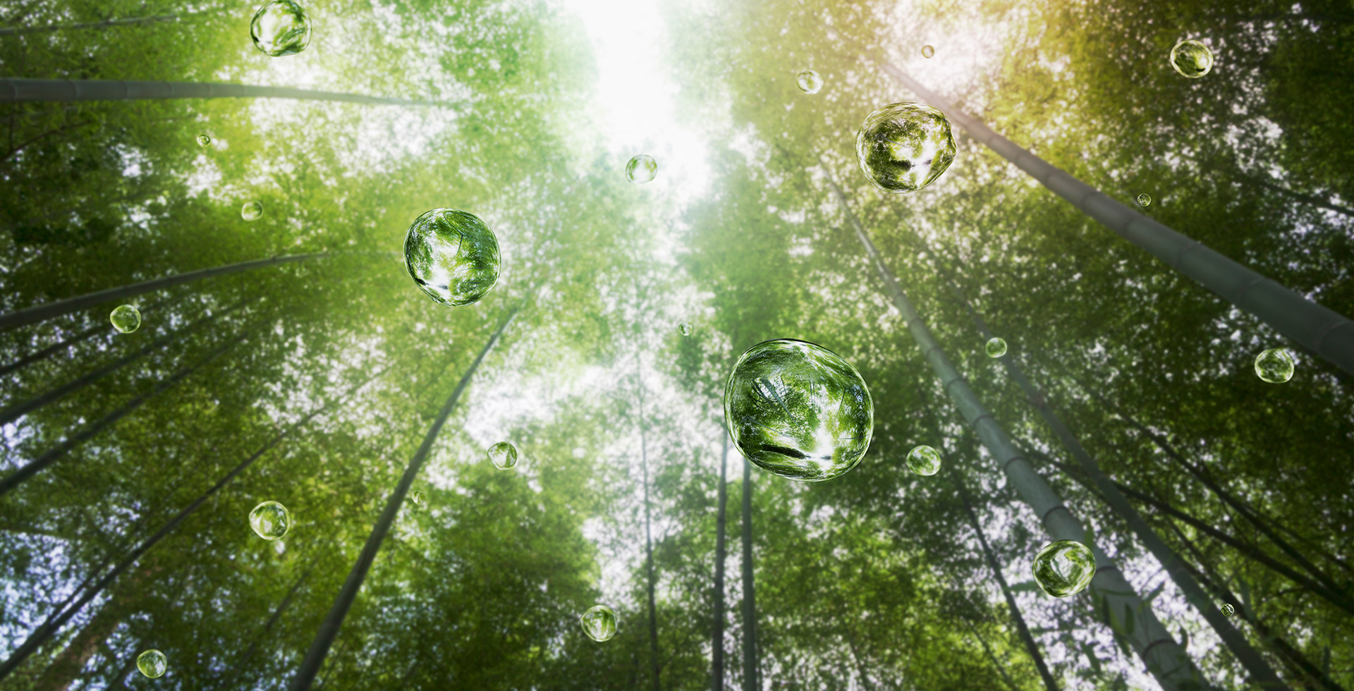 Active is: Investing for real-world change