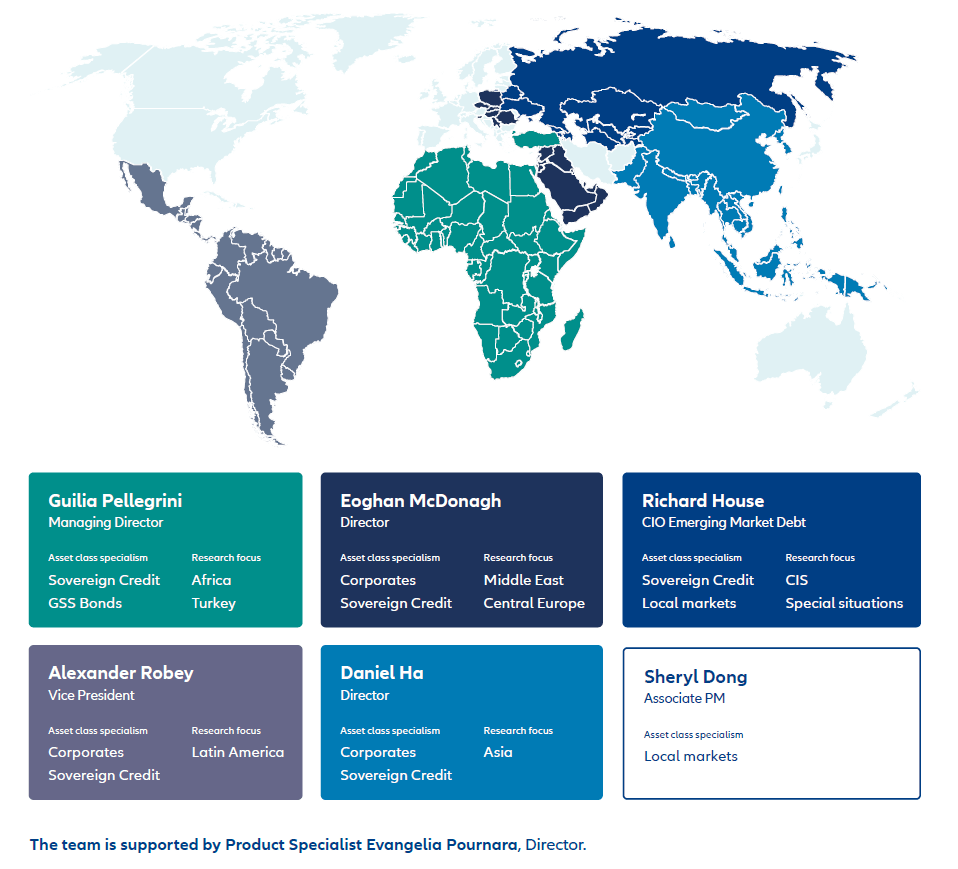 Asset class focus and research responsibilities of the AllianzGI team