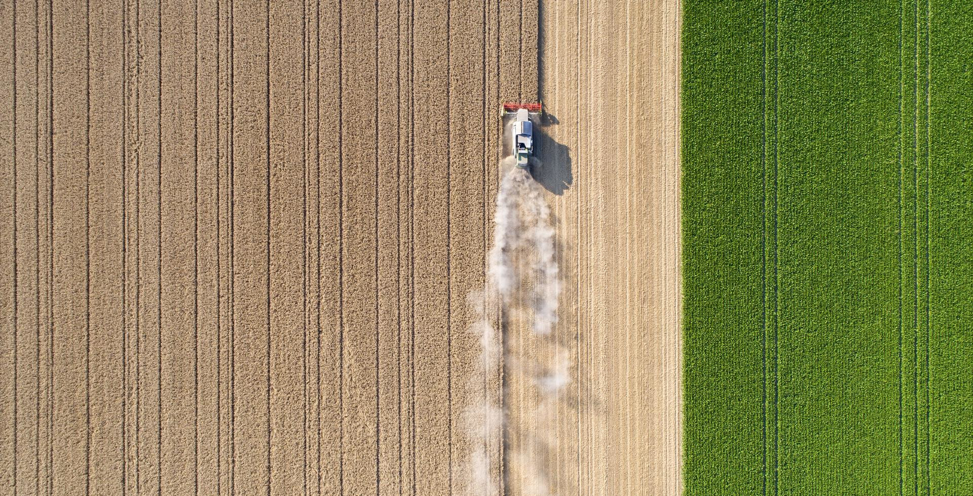 Tractor moving in a straight line across a field while spraying chemicals