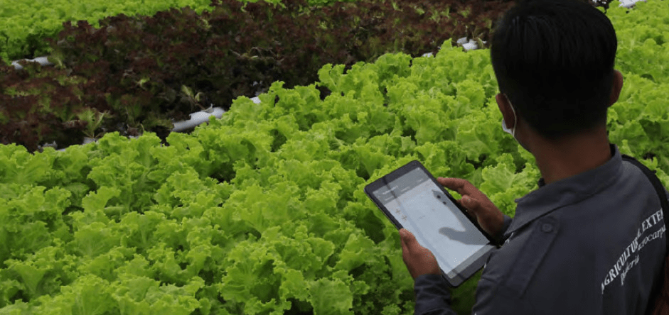 the inspector inspects the salad