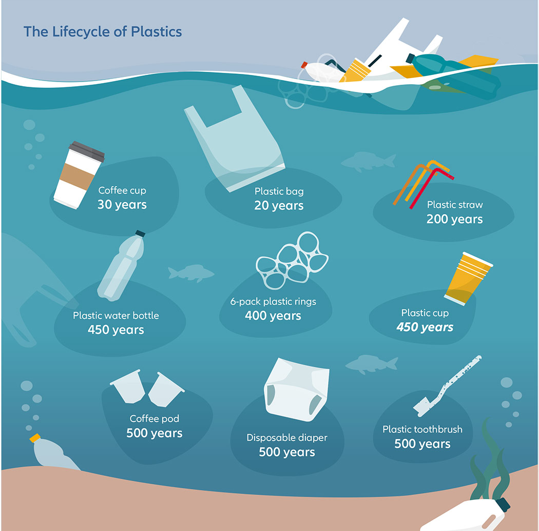 Infographic 3: The Lifecycle of Plastics