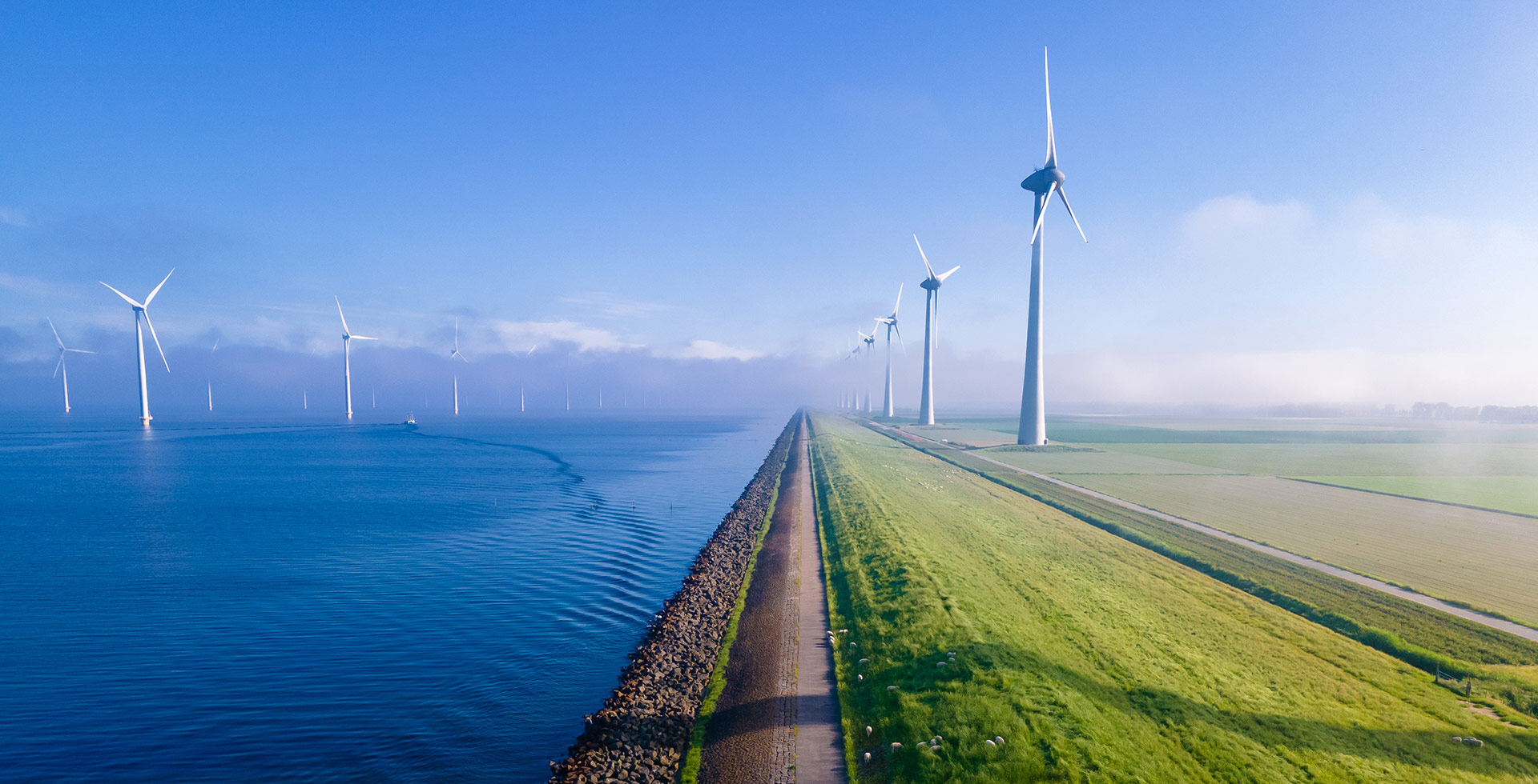 Sea meets land with several wind turbines across the water and the land.
