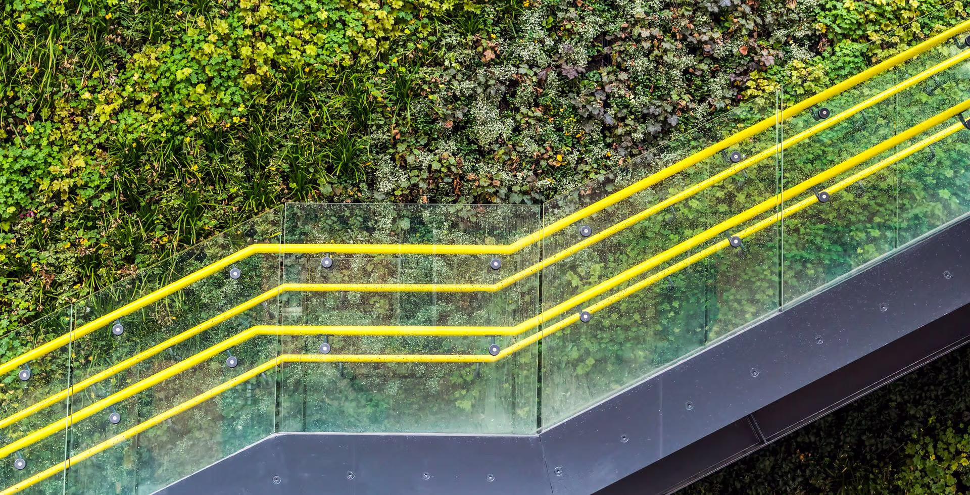 Our blog: Sustainability Now
