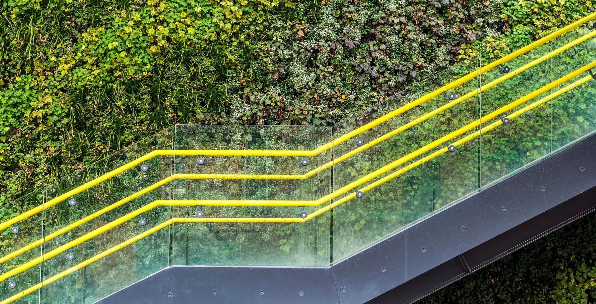 Our blog: Sustainability Now