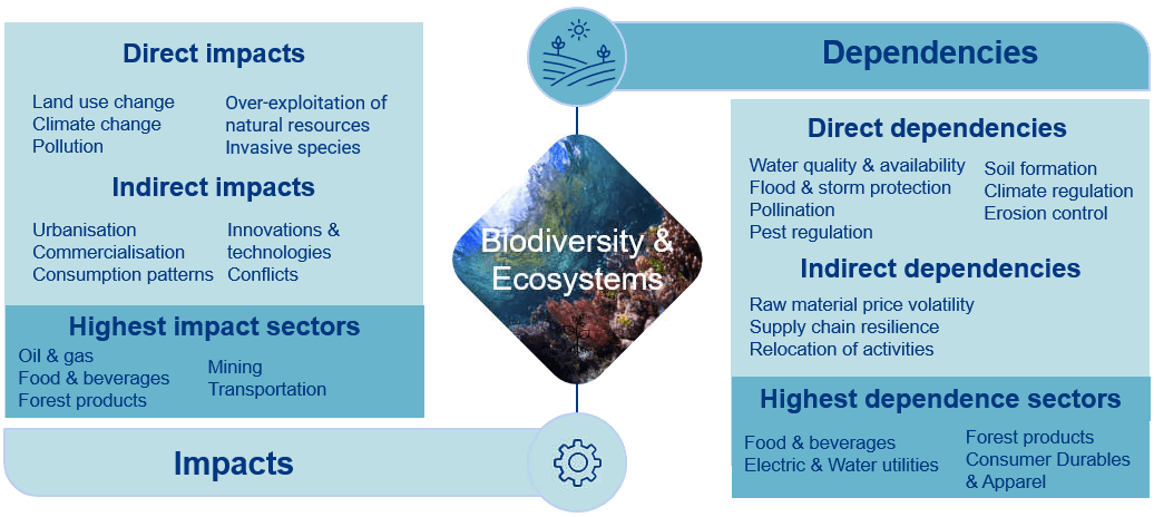 Double materiality of biodiversity-related risks