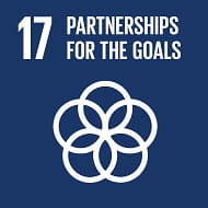 partnerships for the goals