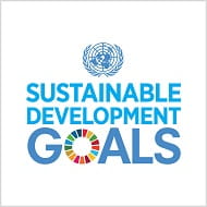 SDG logo